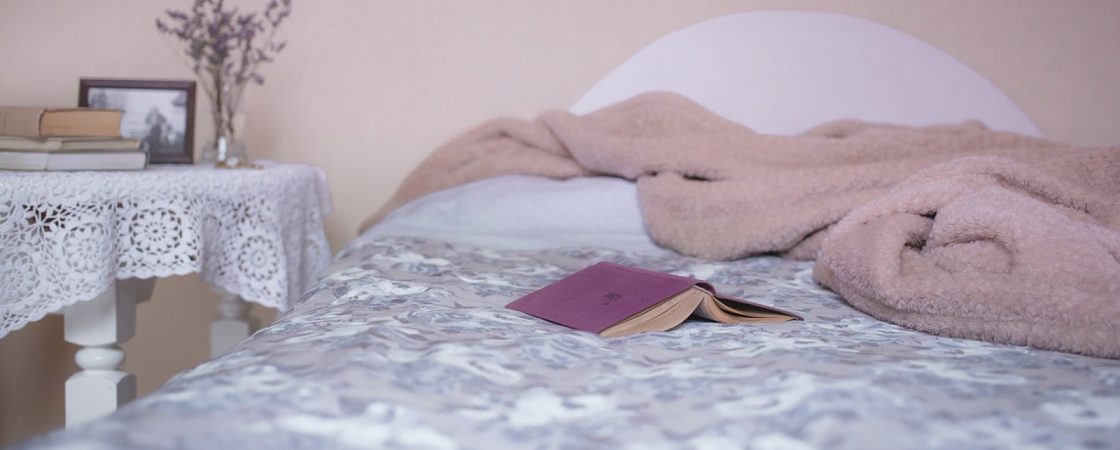 Pourquoi faut-il consulter un expert pour éradiquer les punaises de lit ?
